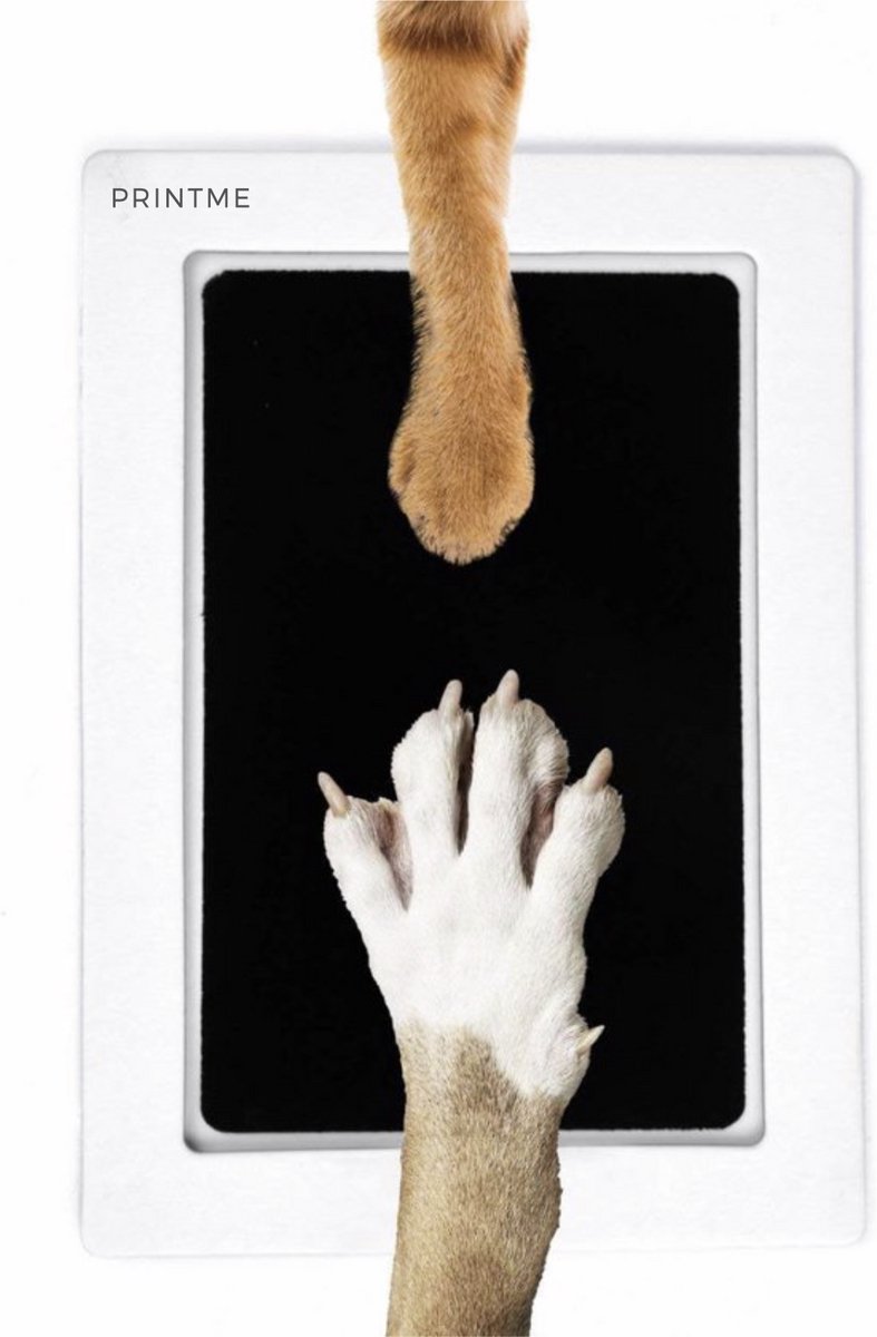 Bol.com PrintMe - Paw Print Pad - Groter formaat - Pootafdruk maken van Hond of Kat - Geen Inkt op Poot aanbieding