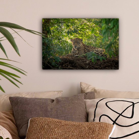 Een jaguar met gevlekte vacht rust in een dichtbegroeide jungle, omringd door groene bladeren en zonlicht.
