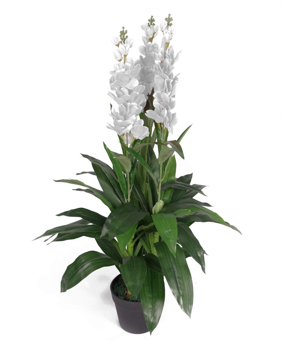 Dailygoods- Cymbidium Orchideeënplant 90 cm - Kunstplant in Pot - Realistisch Ontwerp - Zwarte Plastic Pot - Geschikt voor Binnen/Buiten - Hoge Kwaliteit