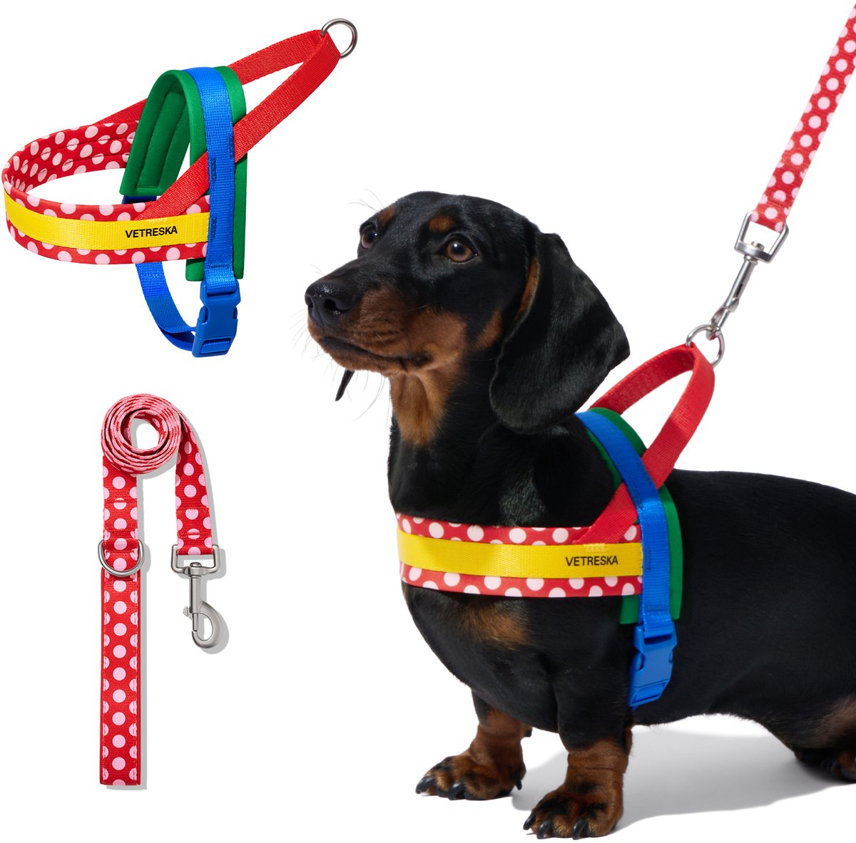 Vetreska - Wandelset voor huisdieren (XS) + Poop Bags & Dispenser set - Gedurfd design