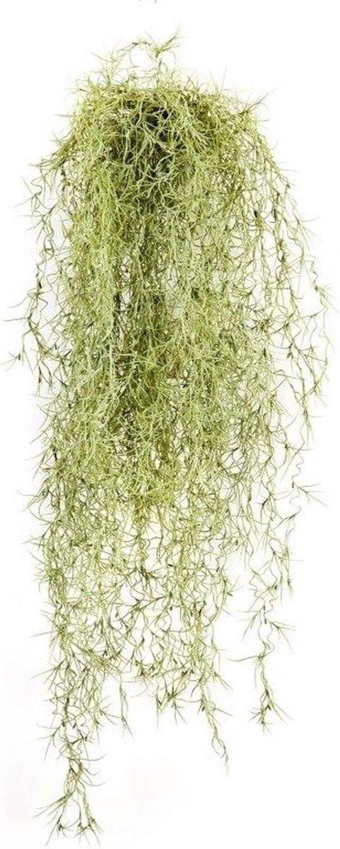 Kunst Tillandsia Usneoides - Hangplant Nep - Decoratie Interieur - Moeilijk Ontvlambaar - 80 cm - Groen-geel