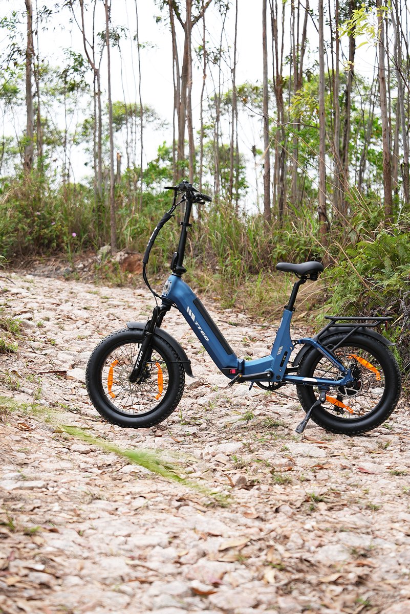 TTGO F7 Elektrische Fiets - 20 Inch Banden - 48V15Ah Accu - Max Snelheid 25km/u thumbnail 6
