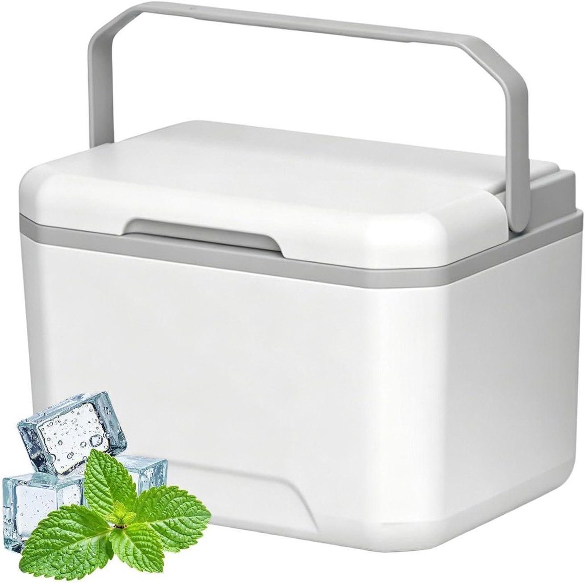 Draagbare Koelbox - Voedselcontainer Picknickkoeler - Buitenactiviteiten - Harde Geïsoleerde Case - 5L - Enkel attribuut