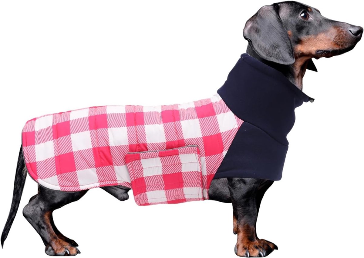 Warm Thermisch Gevoerd Teckel Jasje met Hoge Hals en Verstelbare Bandjes voor Kleine en Middelgrote Honden - Roze - Ideaal voor Buitenactiviteiten en Koude Dagen