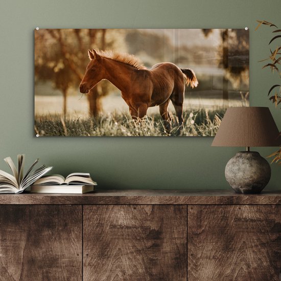 ® Glasschilderij 80x40 cm - Schilderij acrylglas - Paard - Licht - Weide - Foto op glas - Muurdecoratie woonkamer - Wanddecoratie slaapkamer - Schilderijen