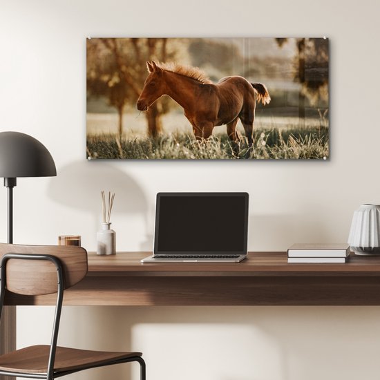 ® Glasschilderij 80x40 cm - Schilderij acrylglas - Paard - Licht - Weide - Foto op glas - Muurdecoratie woonkamer - Wanddecoratie slaapkamer - Schilderijen