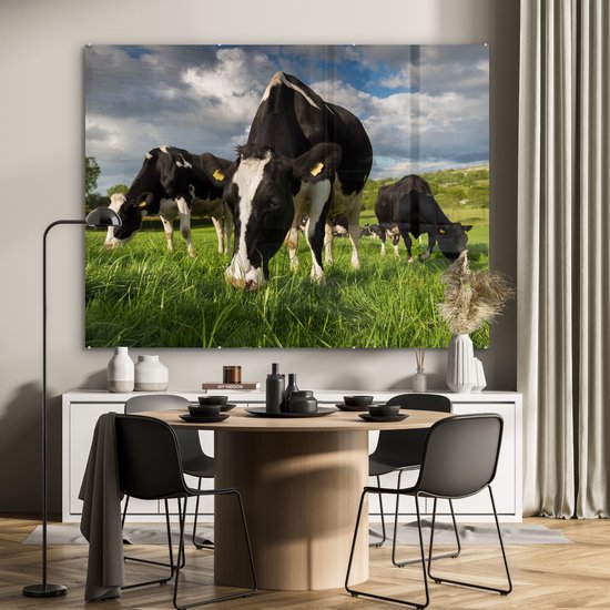 Vaches frisonnes regardant au soleil Plexiglas 160x120 cm - Tirage photo sur Glas (décoration murale plexiglas) XXL / Groot format!