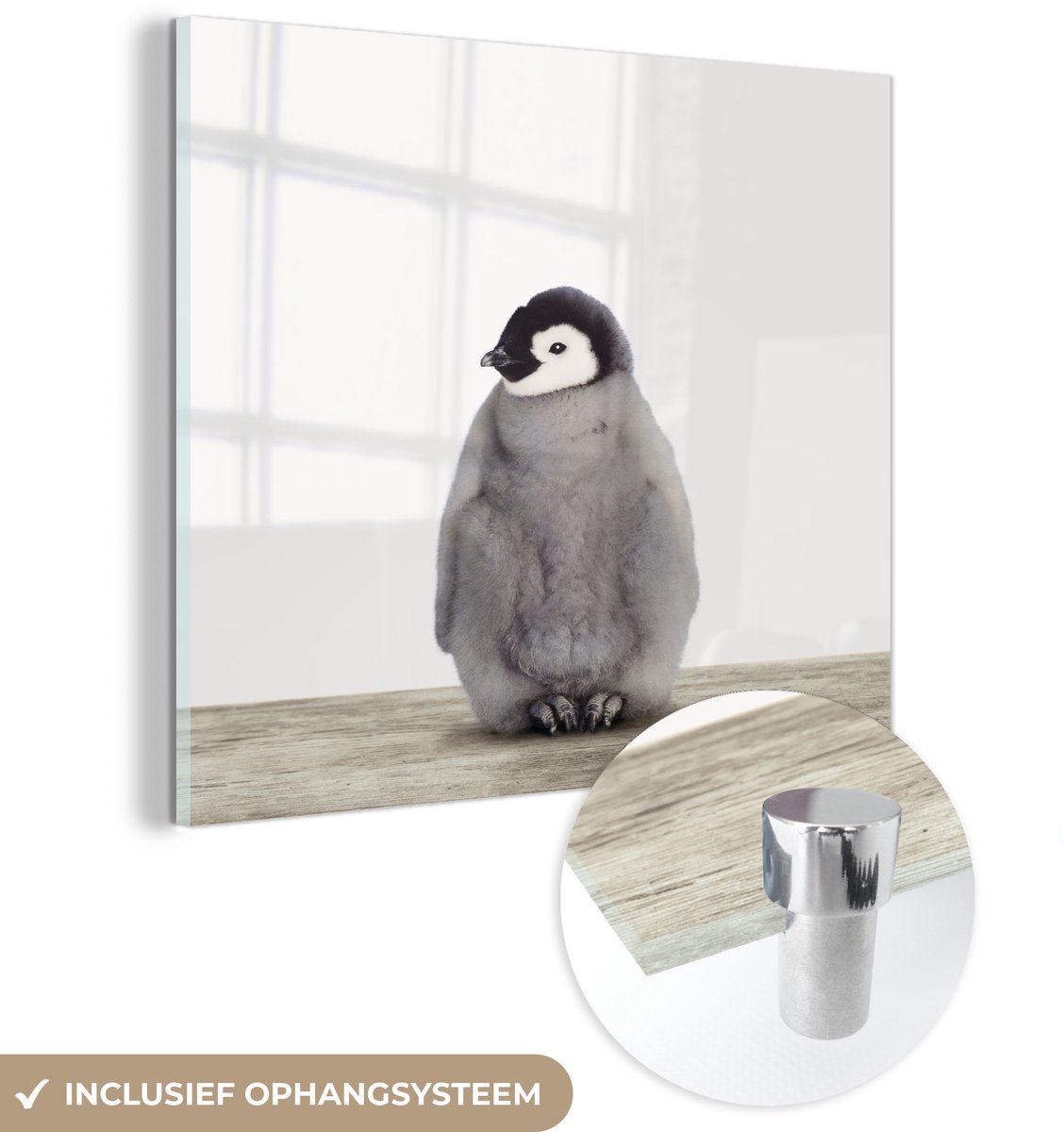 ® Glasschilderij 50x50 cm - Schilderij acrylglas - Pinguïn - Dieren - Baby - Foto op glas - Muurdecoratie woonkamer - Wanddecoratie slaapkamer - Schilderijen