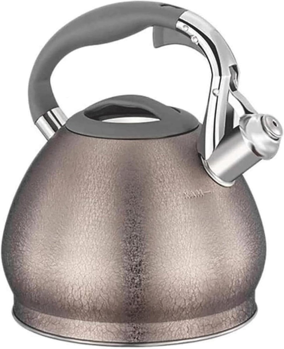 Fluitketel - Waterkoker - Water Koken - Luid Fluitje - 3 Liter - Zilver