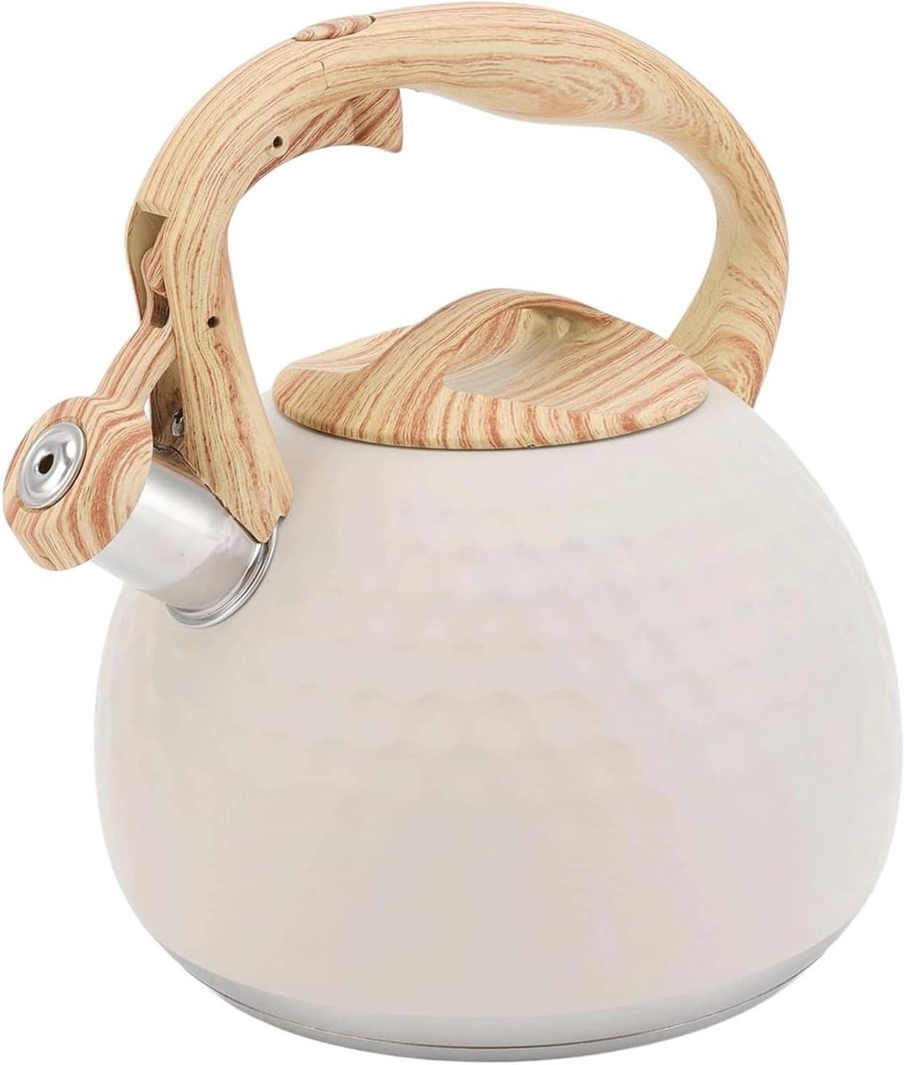 Fluitketel RVS - Waterkoker Ketel - Water Koken - Ingekapselde Bodem - 3 Liter - Zilver