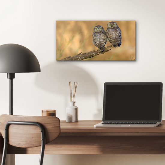 Décoration murale Métal - Peinture Aluminium Industrielle - Couple de hiboux - 40x20 cm - Dibond - Photo sur aluminium - Décoration murale industrielle - Pour le salon / chambre