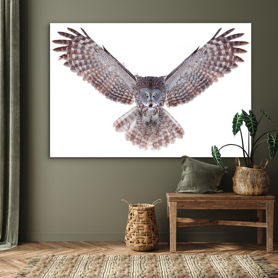 Décoration murale Métal - Peinture Aluminium - Hibou volant - 150x100 cm