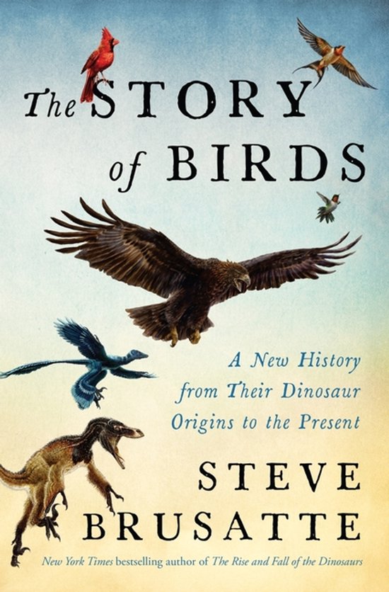 The Story of Birds - cover