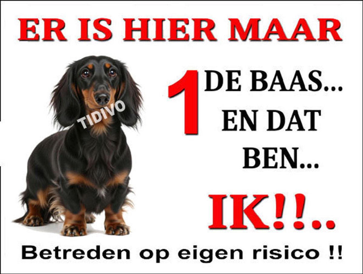 Dashond, Langhaar 26