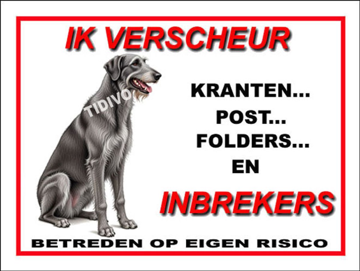Deerhound 8