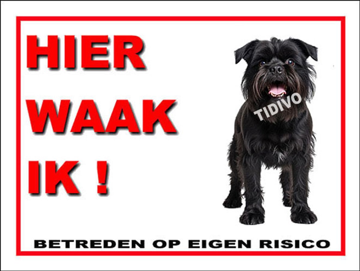 Griffon Belge 3