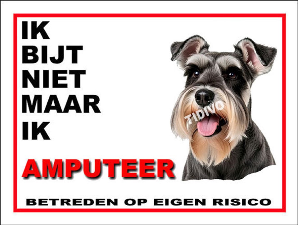 Dwergschnauzer 5