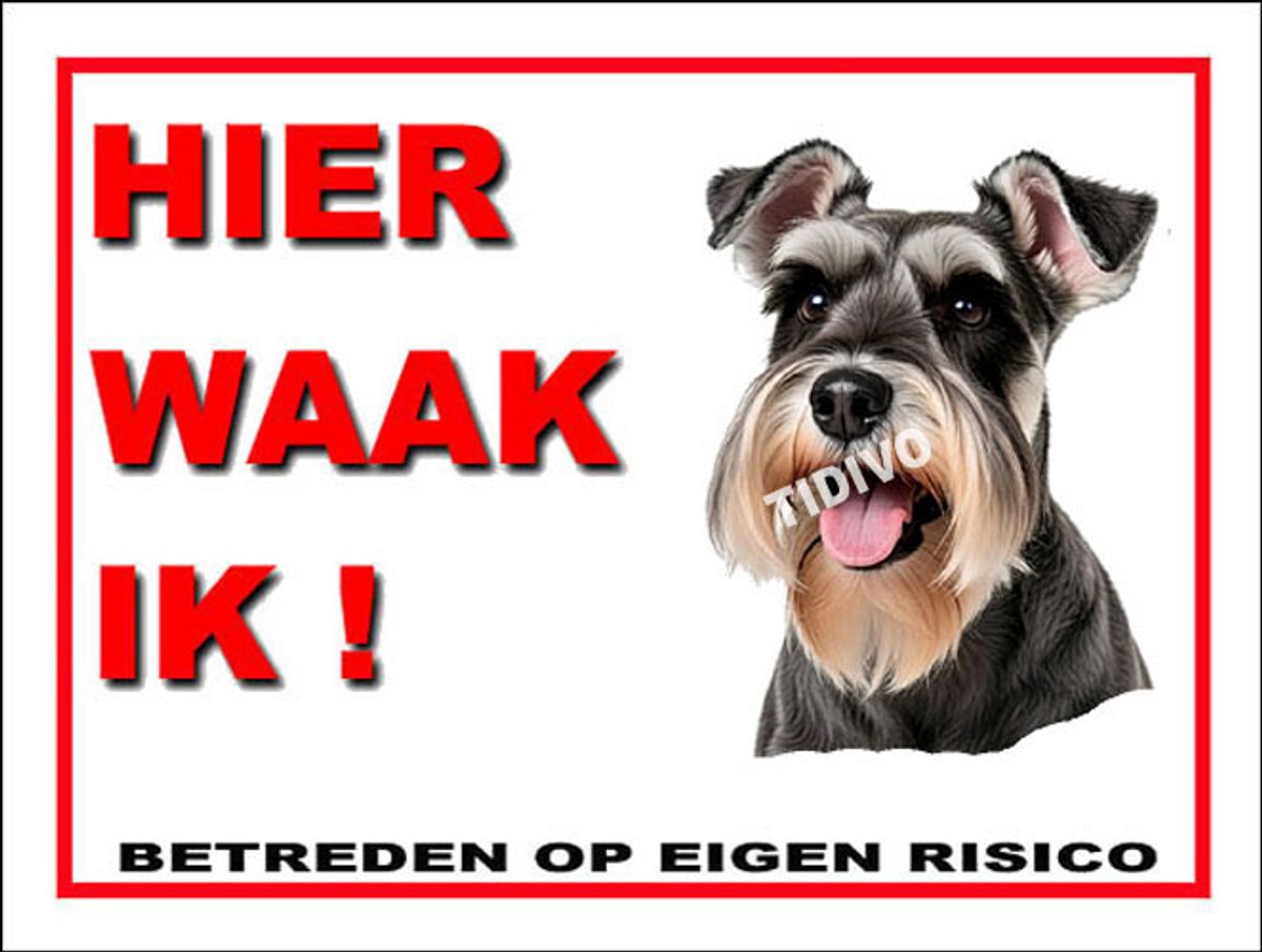 Dwergschnauzer 3
