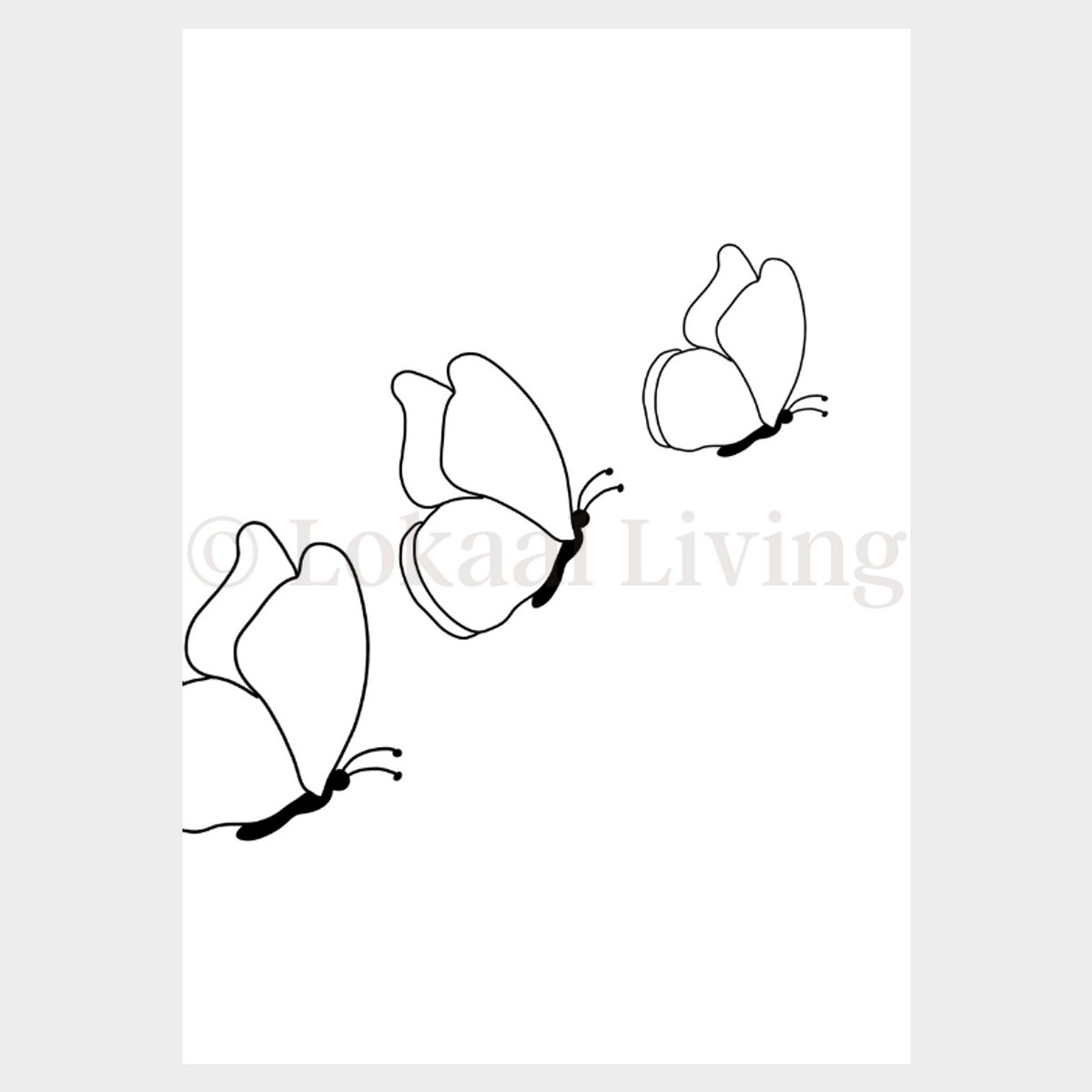 Lokaal Living - a4 poster - Vlinders - insecten - dieren - zwart wit