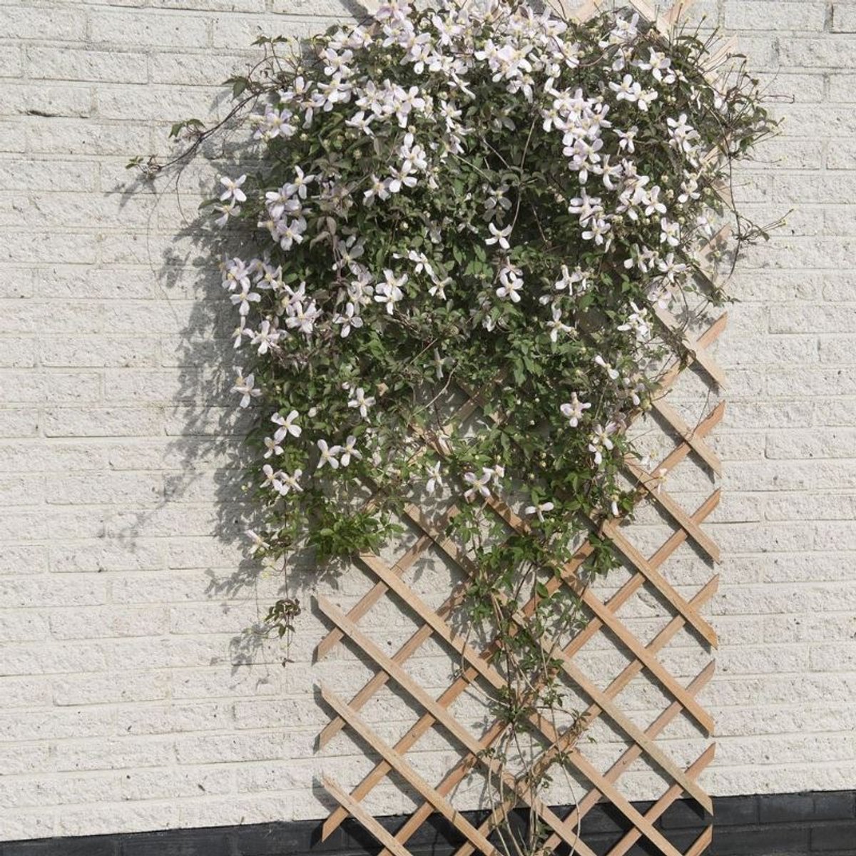 Nature - Houten Klimrek 150x 50cm - Klim-En Geleide Artikel - Natural — afbeelding 7