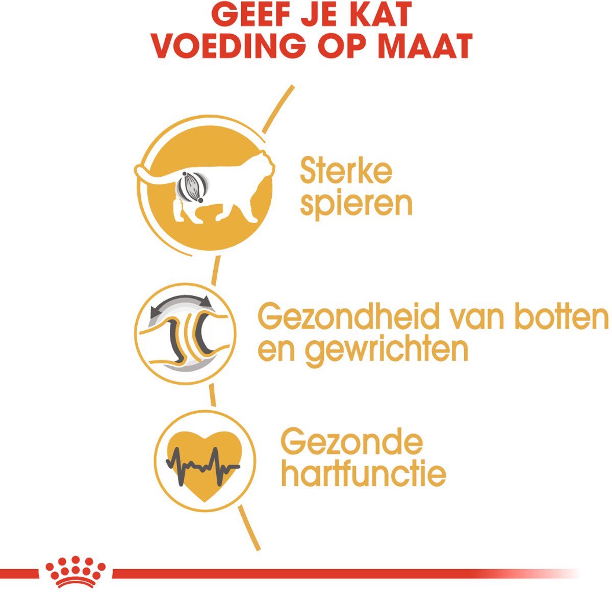 Royal Canin British Shorthair Adult 4kg - Rasspecifiek droogvoer thumbnail 4