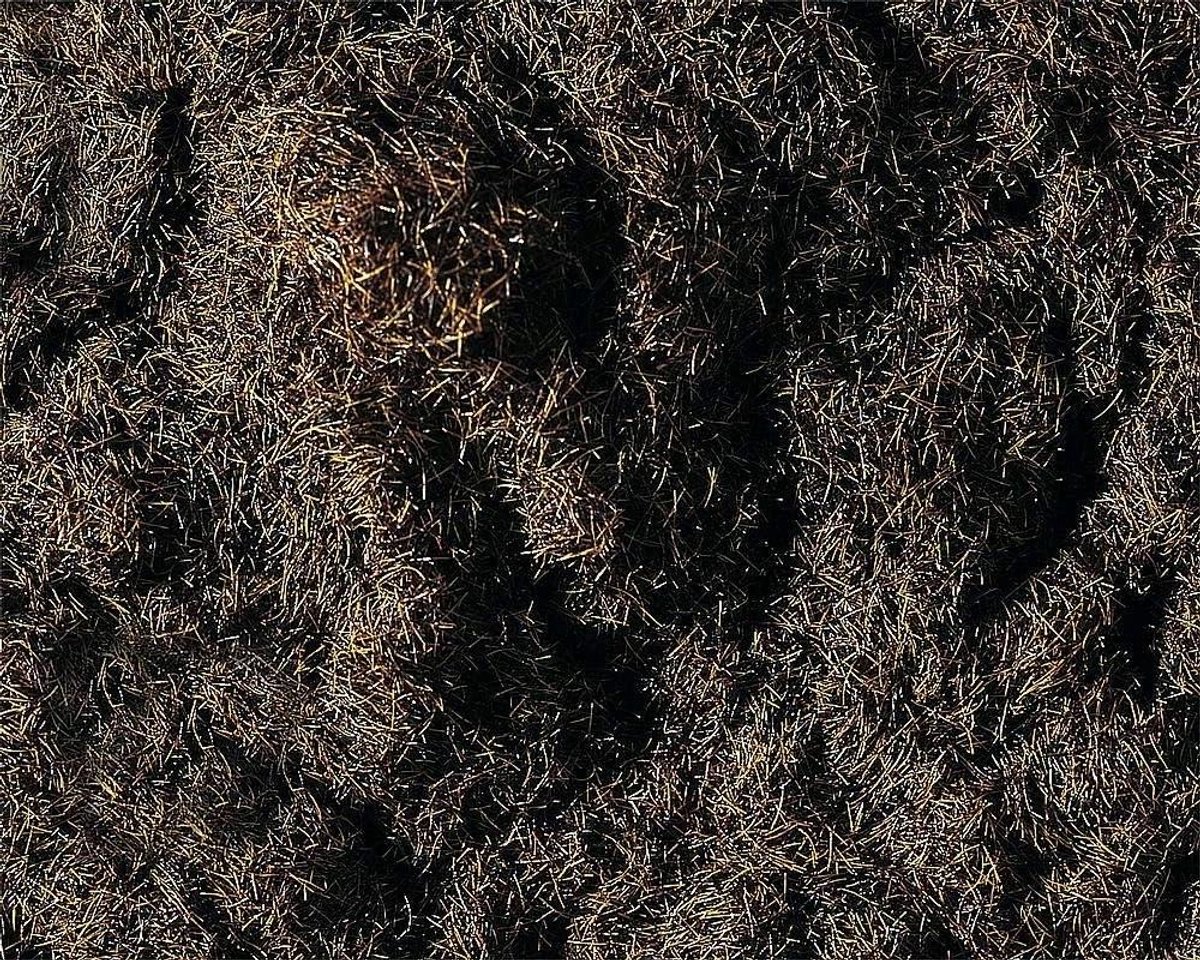 Strooisels Bosbruin - Modelbouw Grasvezels - Landschap Creëren - Realistische Textuur - 35 g - Bruin
