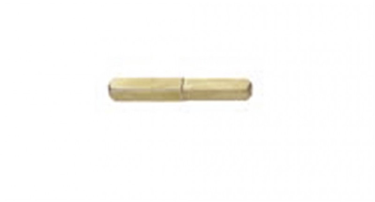 Massieve Krukstift 0188 9-8Mm L60Mm