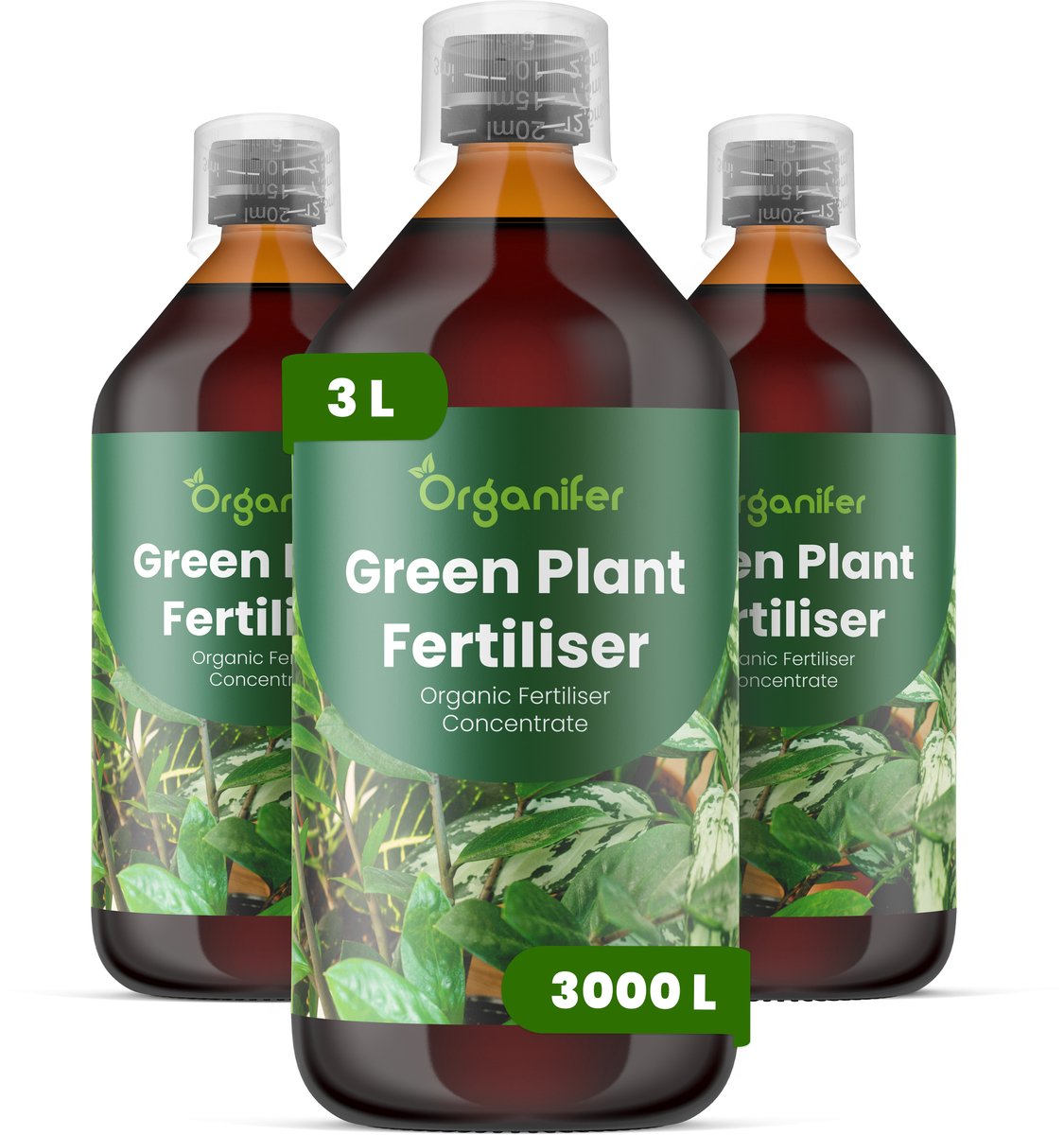 Vloeibare Meststof Voor Groene Plant 3 L Voor 3000 L - Npk 2-1-8 - Groene Bladplanten - Bladkleur - Bladtextuur - Wortelontwikkeling - Vochtregulati - Tropische Planten - Kamerplanten - Plantgezondheid - Organifer