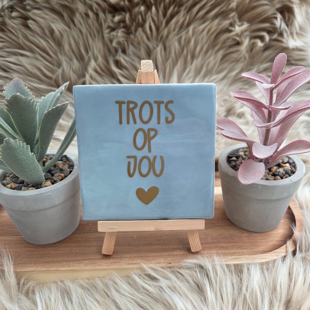 Robuust Wenstegeltje “Trots op Jou” – 10x10cm – Lief Cadeautegeltje met Hartje – Trendy nu – Geslaagd – vriend(in), familie, gezin, zomaar – Decoratief Tegeltje met Standaard – Cadeau Idee