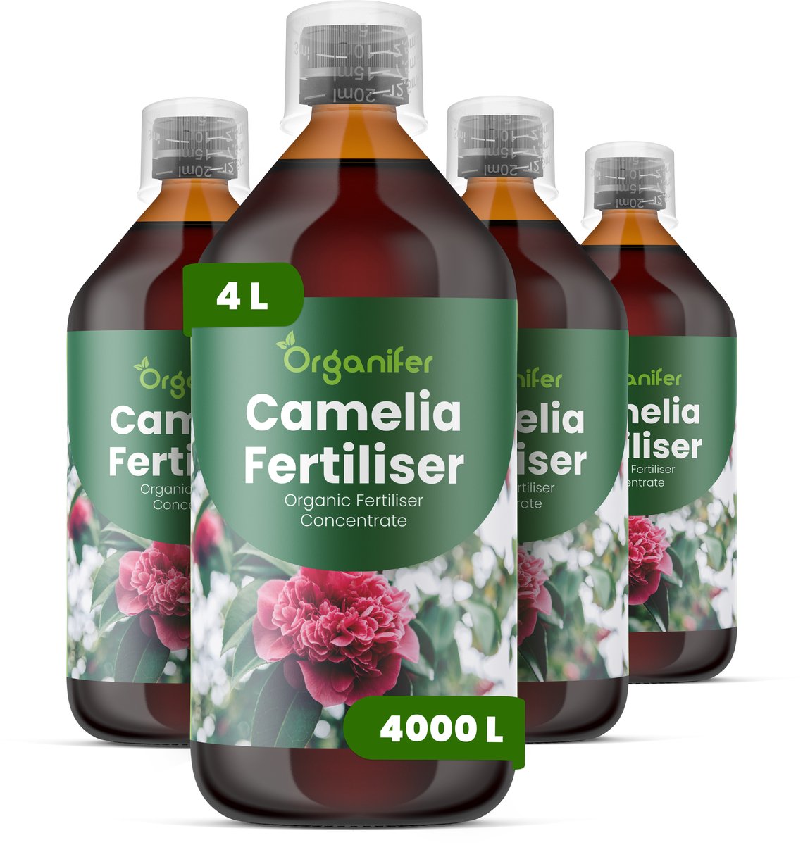 Vloeibare Meststof Voor Camellia 4X1 L Voor 4000 L - Npk 3-4-3 - Knopvorming - Rijke Bloei - Sterk Wortelstelsel - Koel Seizoensstress - Bladglans - Kleurintensiteit - Groenblijvende Vitaliteit - Langdurige Bloei - Organifer