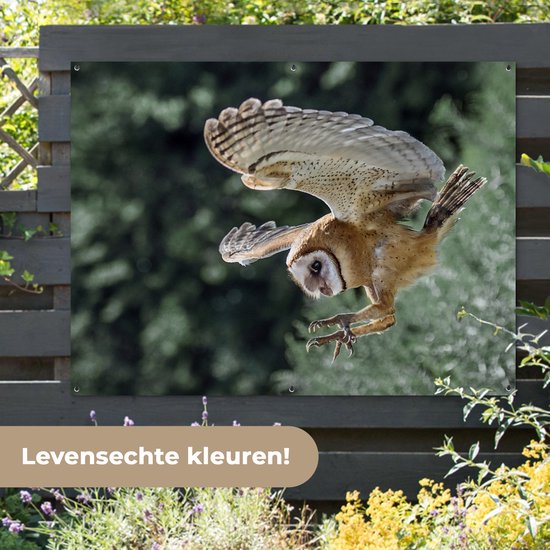 Attaque chouette 160x120 cm XXL / Groot taille!