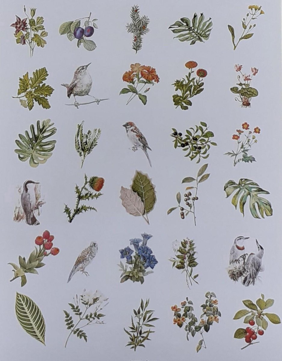 Go Go Gadget - Washi stickers - Bullet journal - Junk journal - Scrapbook - 1 set van 60 stuks - Planten en Vogels - Multi kleur