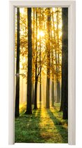Deurposter 80x205 cm - Deursticker Bos - Zon - Bomen - Gras - Landschap - Natuur - Meubelfolie zelfklevend - Deurfolie woonkamer - Interieurfolie fotobehang - Deur plakfolie - Deurstickers - Deurbehang sticker - Kamer decoratie