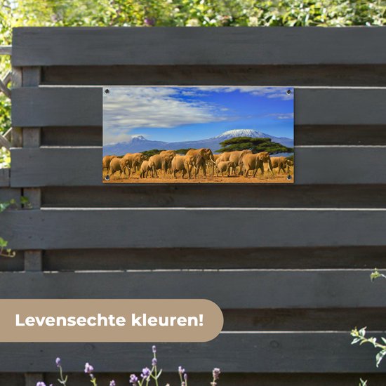 Poster de jardin Eléphant - Berg - Tanzanie - 80x40 cm - Décoration murale Outdoor - Poster de jardin - Toile de jardin - Poster de clôture - Tableau de jardin