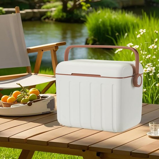 Reiskoeler, kleine koeltas met 6 koelelementen, draagbare koeltas van 6 liter voor dranken, dagelijks gebruik, reizen, picknick, outdoor — afbeelding 3