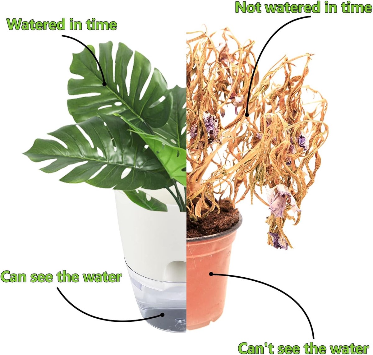 Zelfwaterende Kruidenpotjes Set van 3 – Kruidenpot met Waterreservoir – bloempot - Bloempot voor Keuken, Vensterbank en Balkon – Moderne Zelfbewaterende Plantenpot voor Binnen — cadeau in Kookcadeaus - foto 7