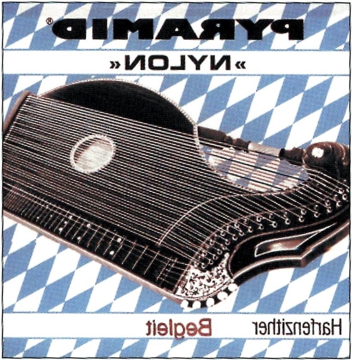 Citer Snaren - Nylon Snaar Set - Muziek Maken - München Stemming - 435 cm Schaallengte - Zwart