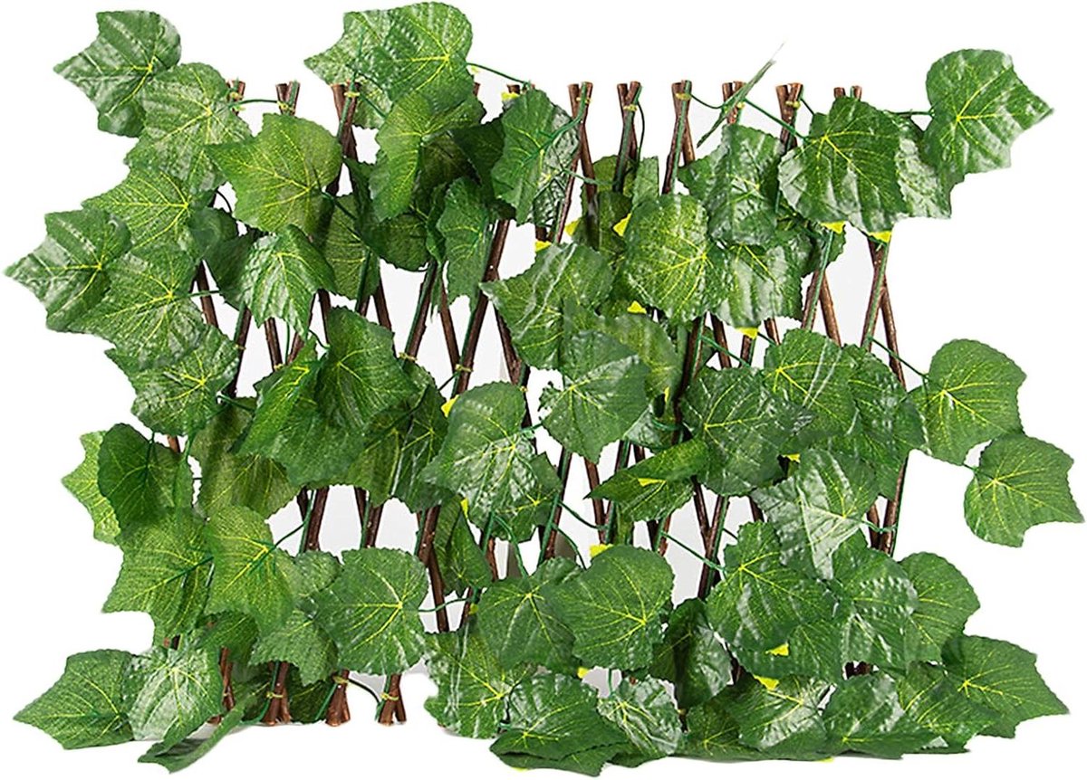 Uitbreidbaar Hek - Privacy Scherm - Tuin Decoratie - Natuurlijk Hout - 2 Pak - Groen