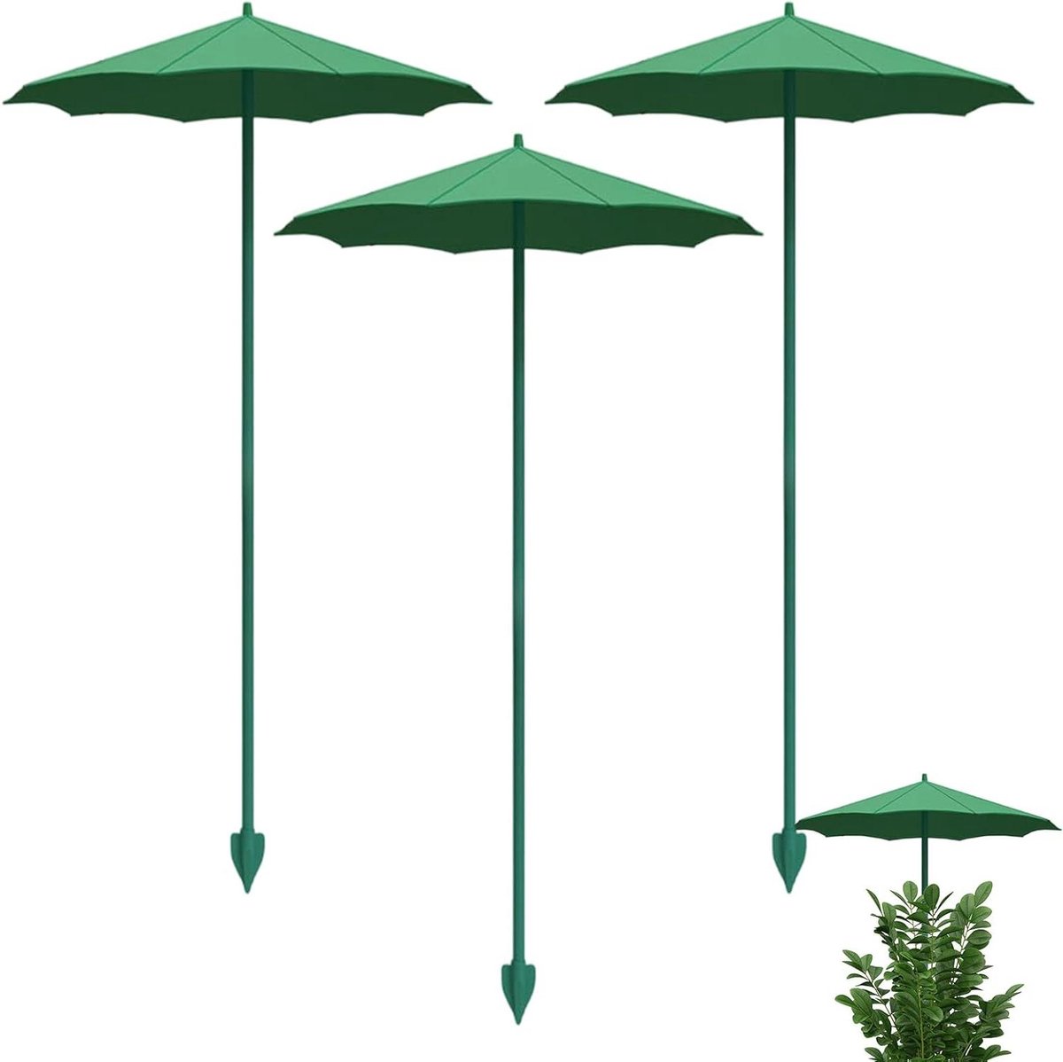 Plantenbeschermers - Tuinparasols - Bescherming Jonge Planten - Set van 3 - 34 x 26.5 cm - Groen