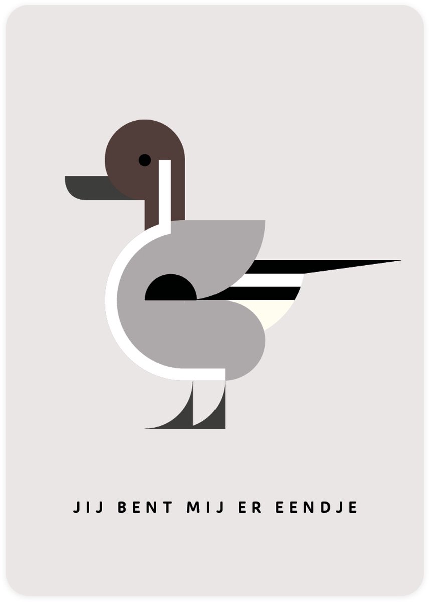 Jij bent mij er eendje - 4x leuke verjaardagskaarten om te versturen - kaartenset - kaart met Pijlstaart - vier kaarten met vogels