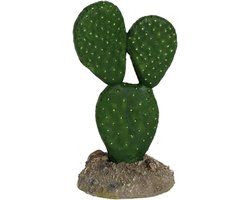 Reptiles Planet Mexicaanse elder plant voor reptielen, 7 x 5 x 12 cm