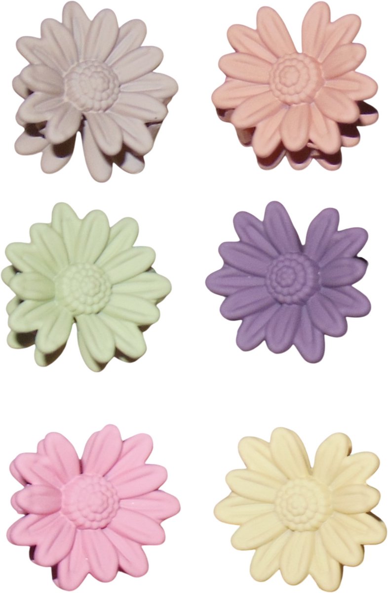 Haarklemmetjes bloemetjes diverse kleuren set van 6 stuks.