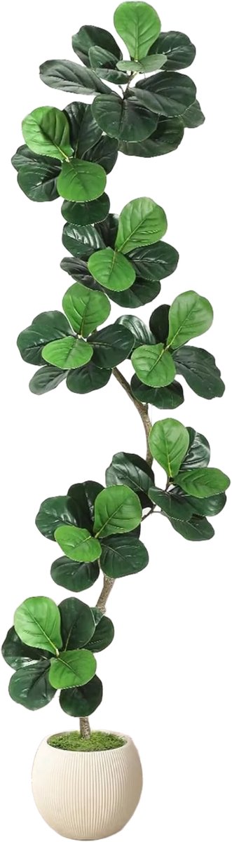 Happiq Kunstmatige Fiddle Leaf Fig Tree - Voor thuis of op kantoor - Decoratief en onderhoudsvriendelijk - Grote faux Ficus met witte plantenbak - Groen-210cm