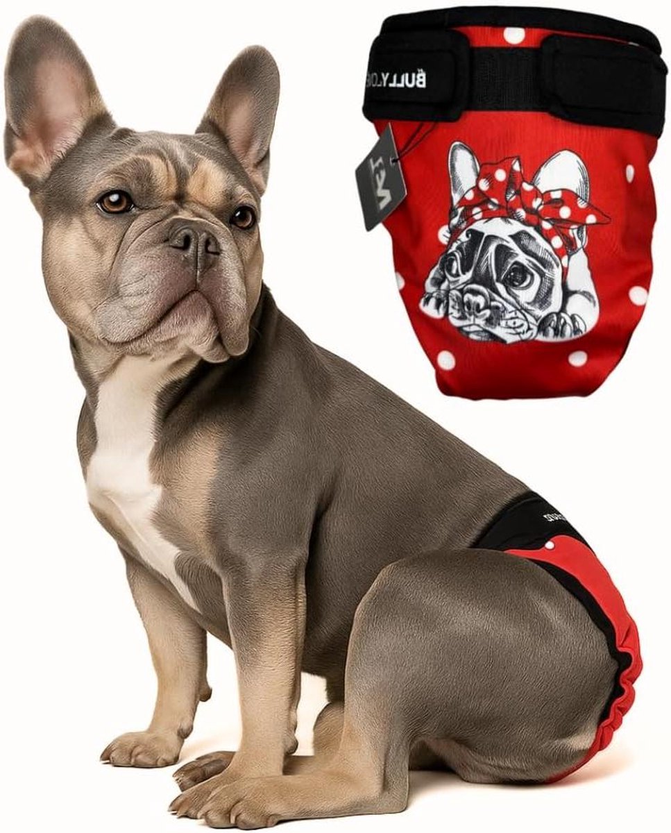 Hondenbroekje - Hondenluier - Loopse Hond - Speciaal voor Franse Bulldogs - 42-47 cm - Zwart