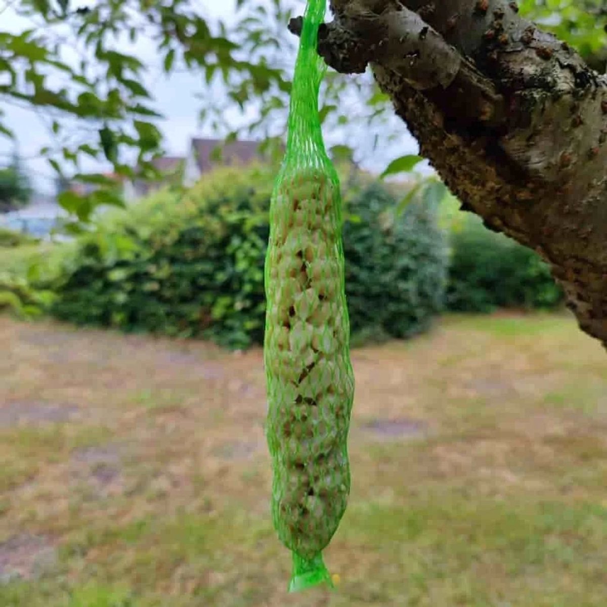 Pindakaas Stangen 0.18kg voor Vogels - 2 stuks