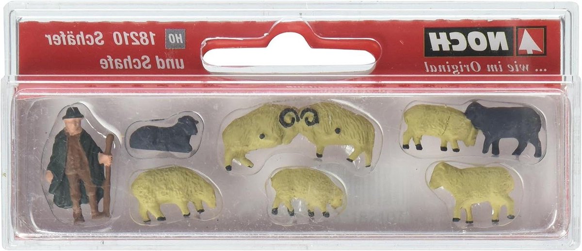 Schapen en