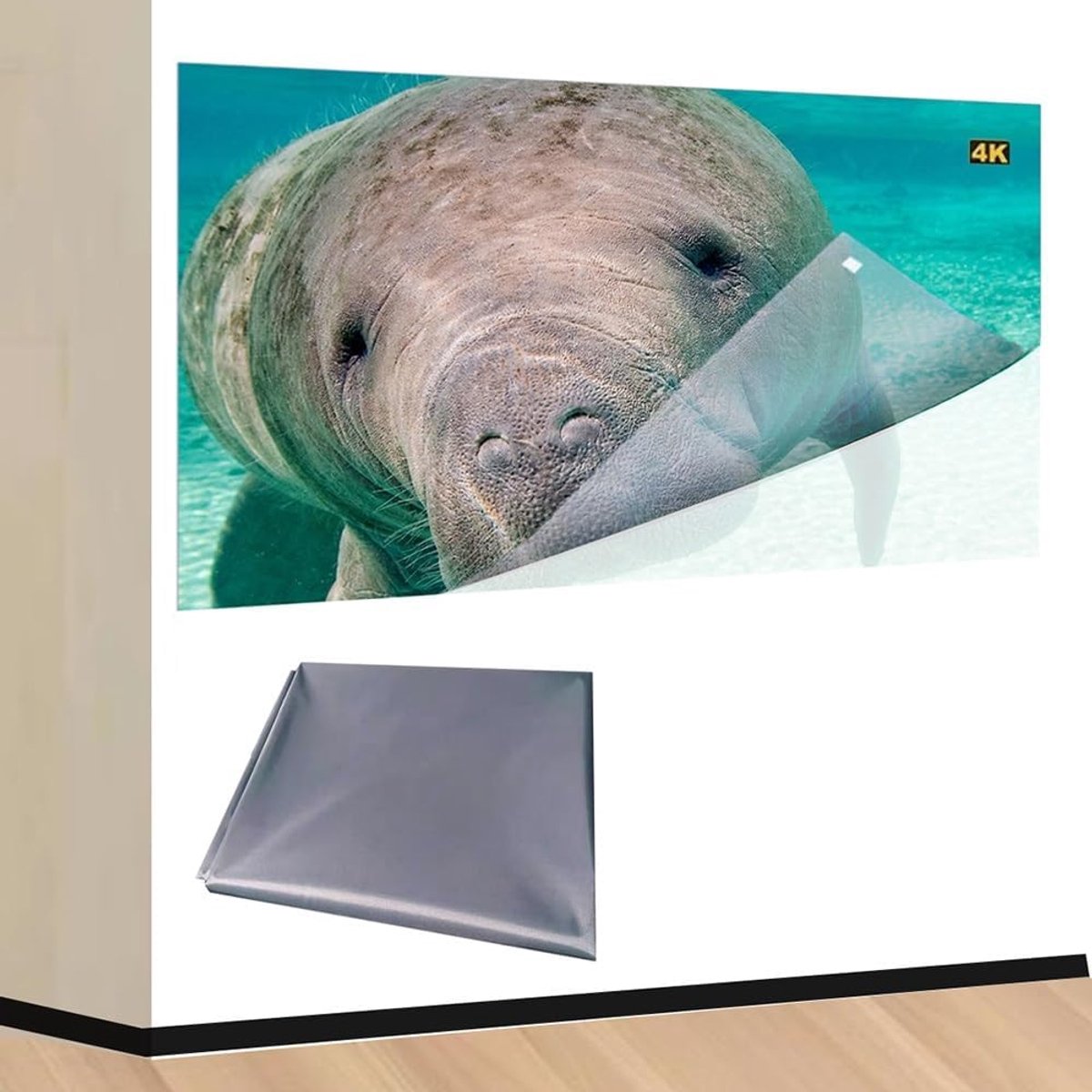 Projectiescherm - Draagbaar Scherm - Thuisbioscoop - Anti-licht Technologie - 16:9