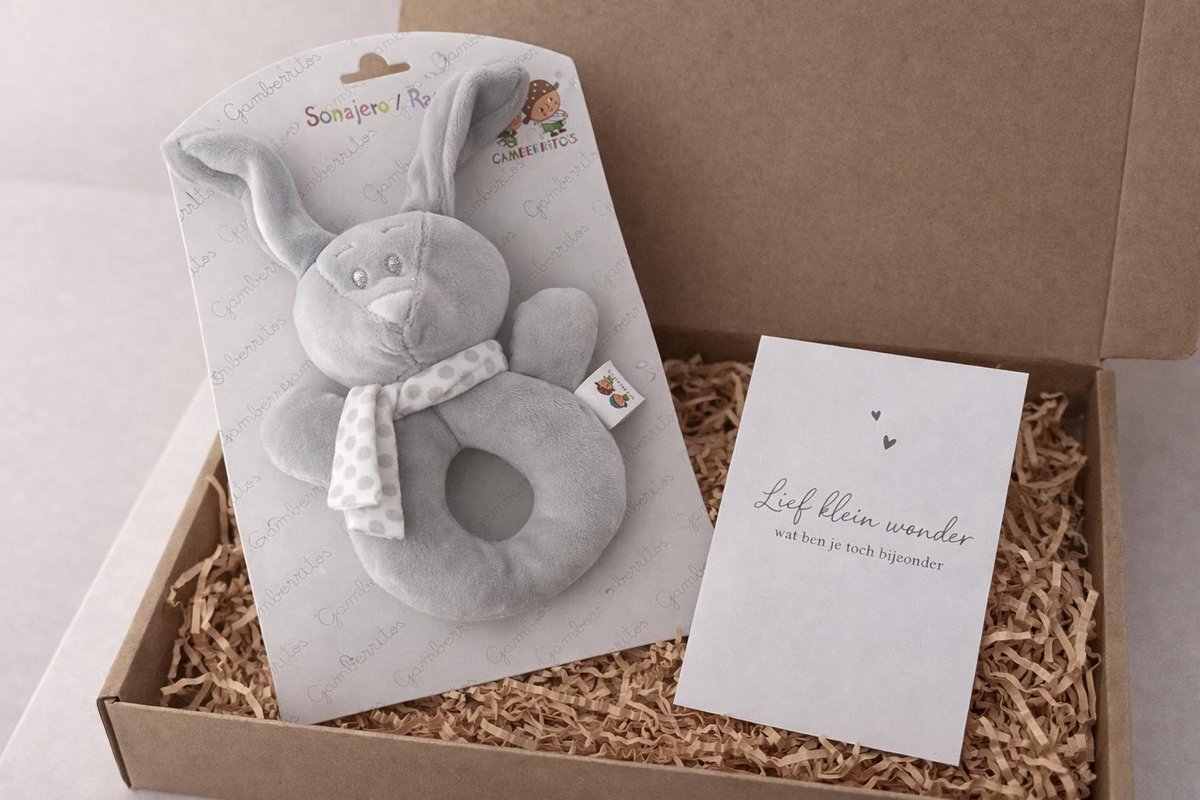 brievenbus cadeau set baby newborn | rammelaar | konijn | in verwachting |