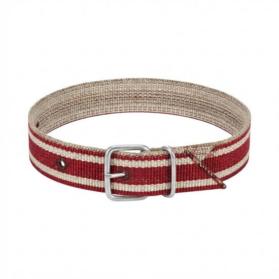 Halsband met rood-witte strepen en metalen gesp.