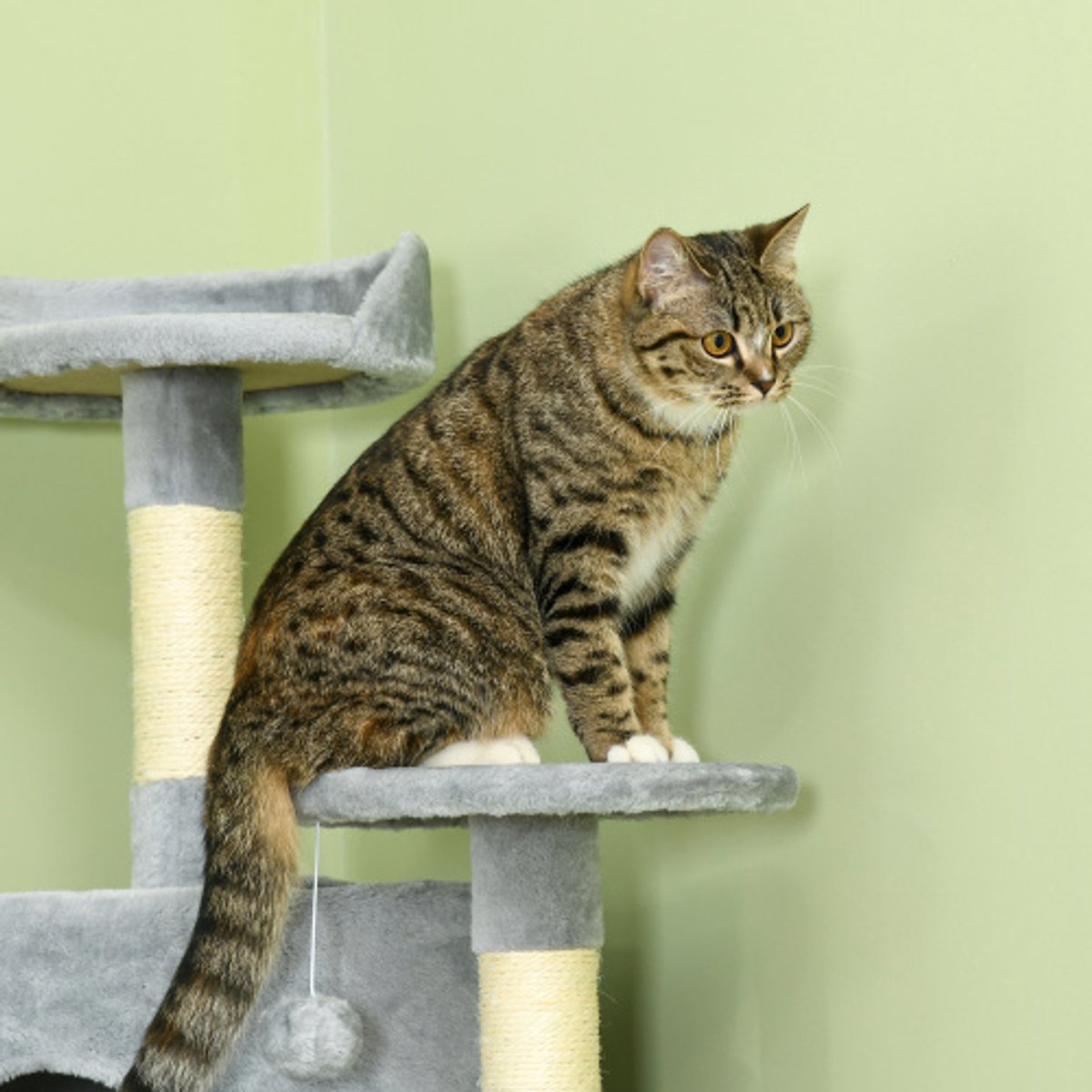 Krabpaal Groot 200 cm - XXL Kattenboom met Kattenholen & Hangmatten - Stabiel voor Grote Katten - Lichtgrijs - Tot 10 kg – foto 5